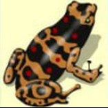 Игровой автомат Пирамида (Aztec Gold, Золото Ацтеков) играть бесплатно без регистрации
